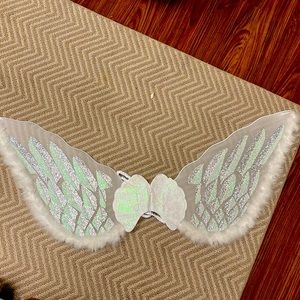 Fairy Wings✨